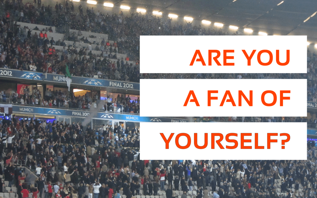 Are you a fan of TEAM YOU?
